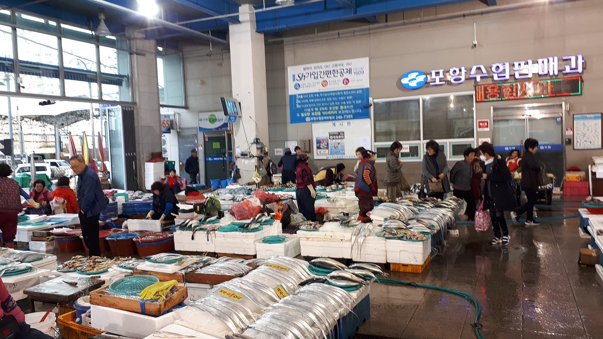 죽도시장